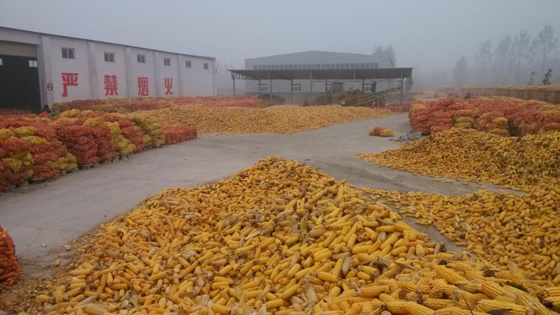 辰牧食品供应